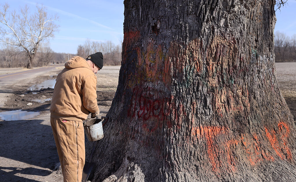 Steve Baumann covers up hate on bur oak tree